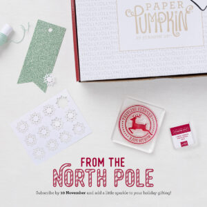 Read more about the article 12 Sparkly Holiday Tags & Exclusive Stamp Set!